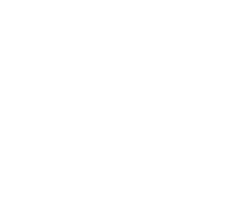 The Wet 'N Wild Social Club